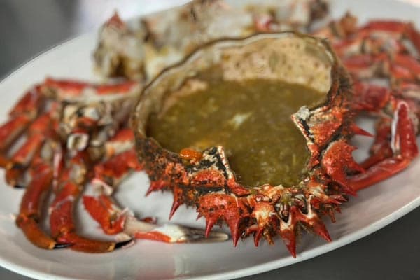 Jornadas gastronómicas