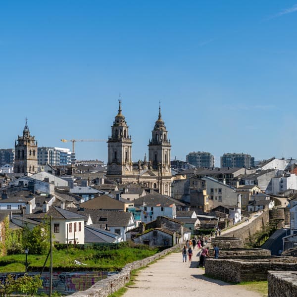 Comercio y vida local